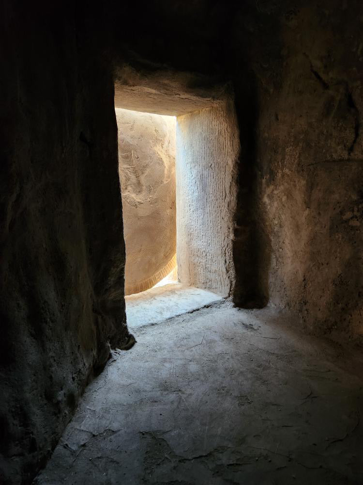 Tomb: The Rise of Lazarus