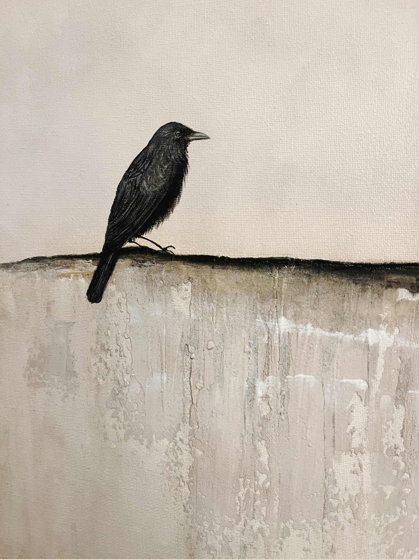 A Bird for Chris