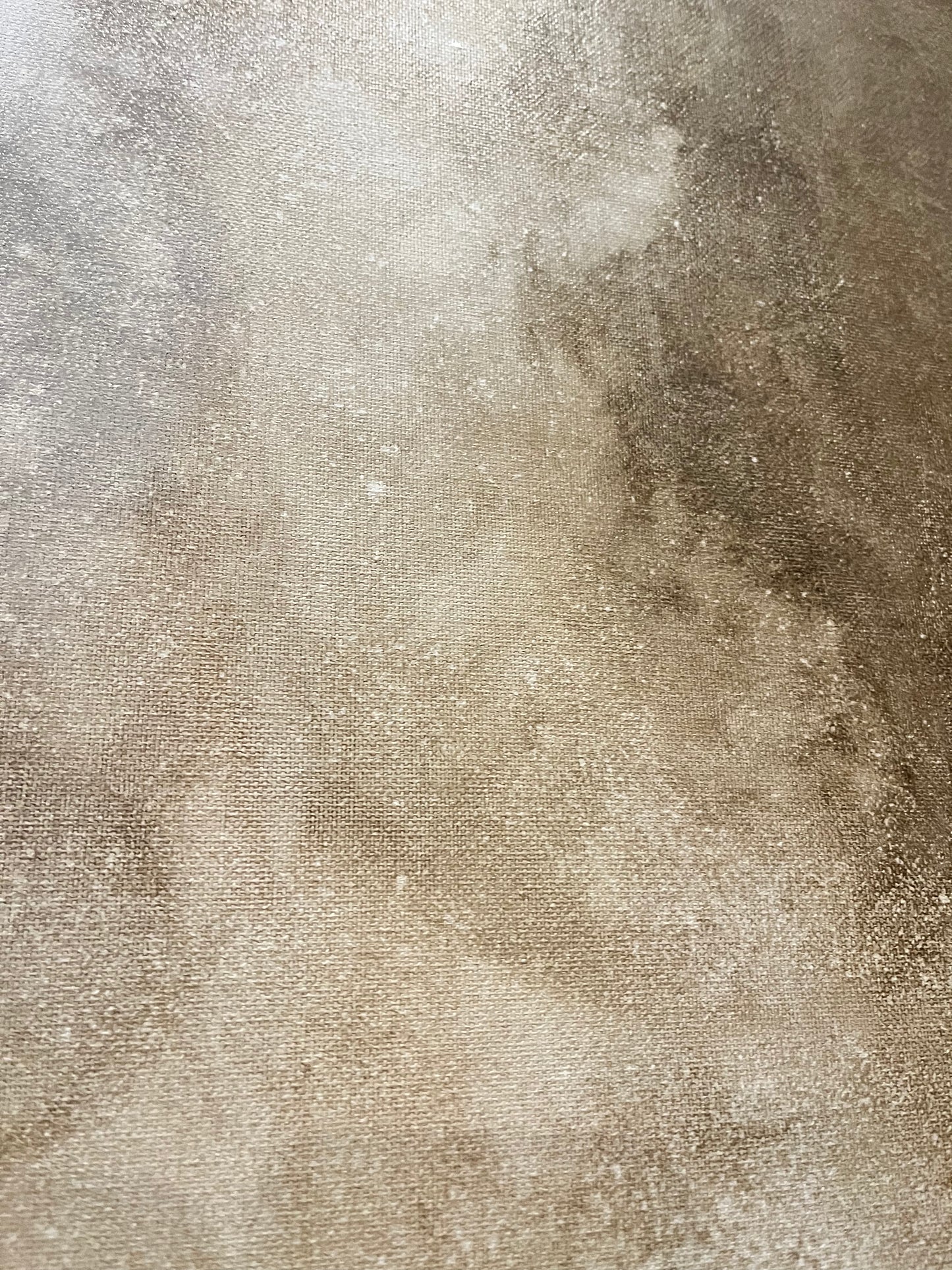 The Light Was Good (24x48)